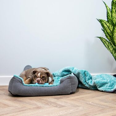 Крісло-лежанка для собак Ancol – м'яка підстилка для дому, 60 x 50 см (блакитно-зелений)