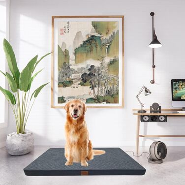 Ортопедичне ліжко для собак Odolplusz | Ліжко для великих собак, 100x70x7 см, сірий (Графіт), знімний чохол