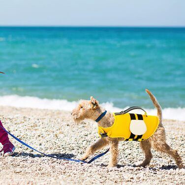 Жилет рятувальний для собак XiXiRan з ручкою, світловідбиваючий, регульований, для безпечного плавання