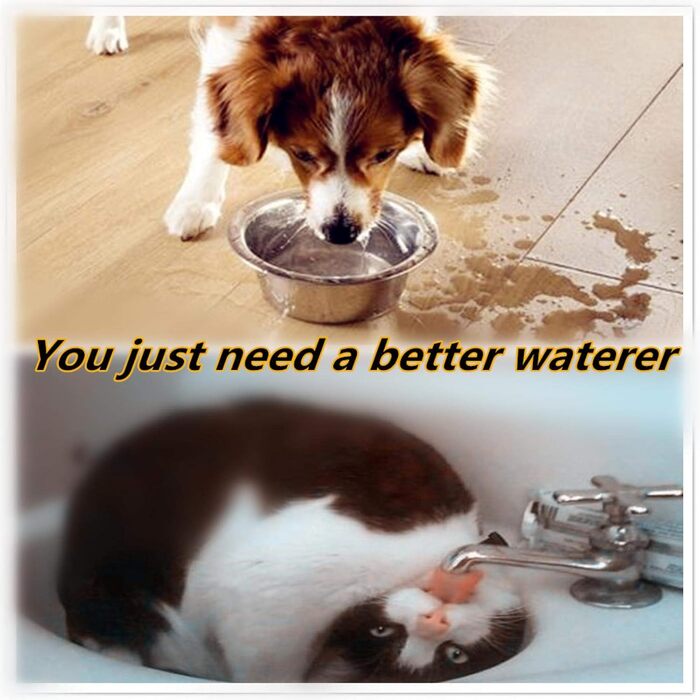 Плаваючий годівниця для води для собак, цуценят, котів, кошенят - Lyrlody