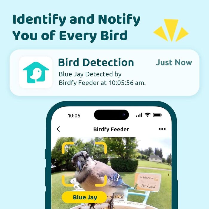 Розумна годівниця для птахів з камерою NETVUE Birdfy, 1080P HD, сонячна батарея, мобільний додаток, автоматичне виявлення, сповіщення в реальному часі