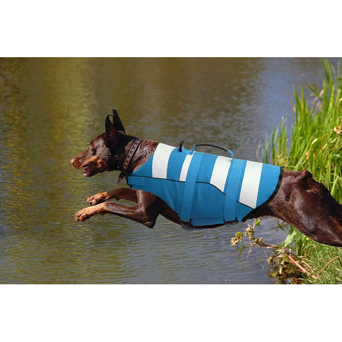 Жилет рятувальний для собак, блакитний XXL, регульований, для малих, середніх та великих собак