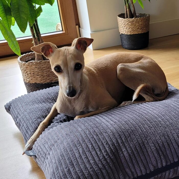 4L Textil ZOE: М'яке ліжко для собак з плюшу, 80x60 см, сірий (смужки), з блискавкою, для великих собак, зручне, миється