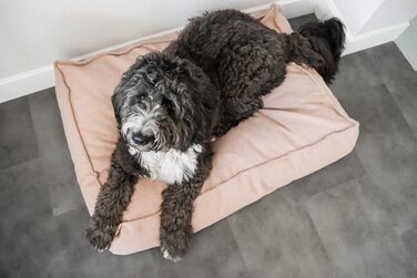 Ортопедичне ліжко для собак Flamingo Baldar – прямокутне, бежеве, 80 см. Комфортне місце для сну з подушкою Baldar, 80x60x18 см