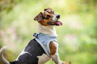 М'який нашийник для собак CHIARA MIA, розмір L, блакитний. Регульований, з водовідштовхувальним матеріалом та світловідбиваючими смугами.