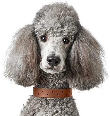 Нашийник для собак HUNTER Aalborg Soul, колір коньячний з сердечком, міцний, розмір 45