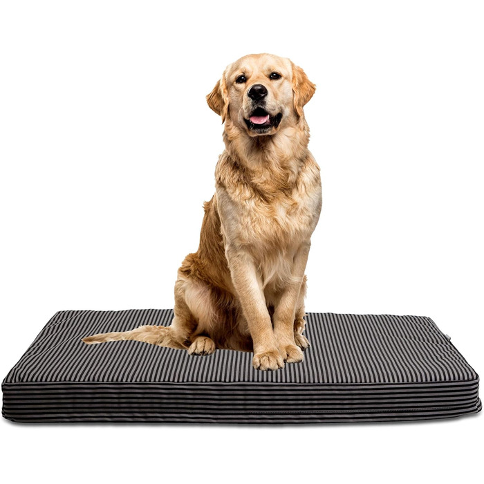 Ортопедична подушка для собак Jump – для відпочинку вашого улюбленця. Знімна та легко пральна наволочка, водовідштовхувальне покриття, Made in Italy