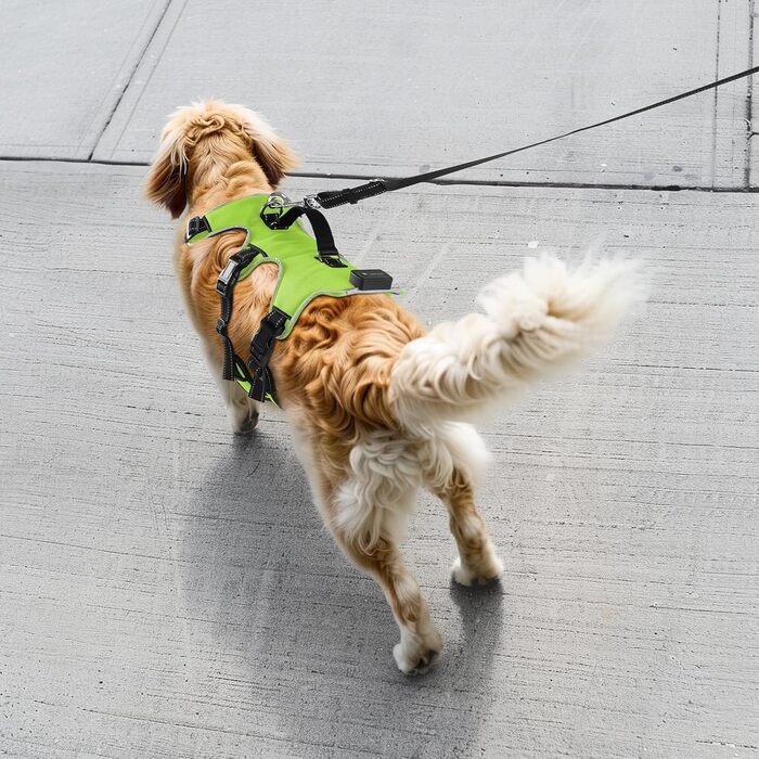 Світловідбиваючий нашийник для собак з LED, перезаряджуваний, м'який, водонепроникний, 3 режими, зелений, розмір M