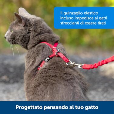 PetSafe Easy Walk - шлейка для котів, червона, розмір S, для прогулянок
