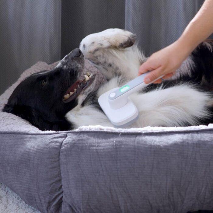 PiddiPet Іонна щітка для грумінгу тварин - 2 шт. Електрична щітка для собак та котів проти ковтунів та підшерстка, зменшує статичну електрику та випадання шерсті, м'яка, самоочисна, для чутливої шкіри