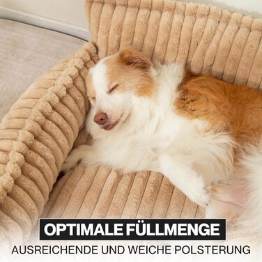 Диванчик для домашніх тварин Noviclass® Chaffar: ортопедичний диван для котів та собак, сучасний стиль, матеріал - Cord, розміри (Верблюжий, XXL (140см))