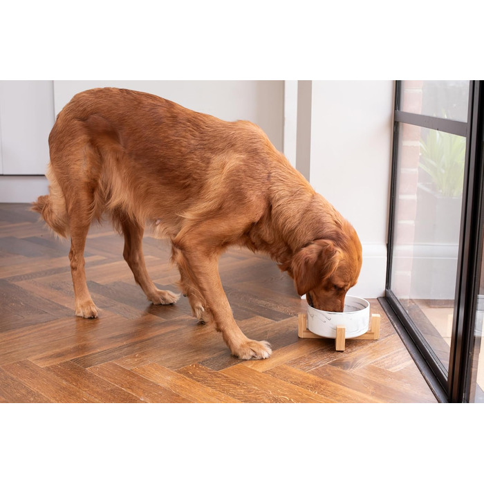 Керамічна миска для собак та котів Pet Wiz з бамбуковим підставкою, піднята миска для зручної позиції під час їжі та пиття, 5 кольорів, об'єм 850 мл (Мраморний сірий)