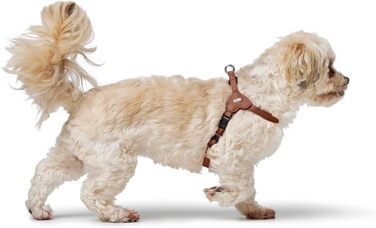 Нашийник для собак HUNTER SOHO MINI, колір: коричневий (cognac), з натуральної шкіри, м'який, не травмує шерсть, легкий, для маленьких собак та цуценят, Made in Germany, розмір XXS-XS/2