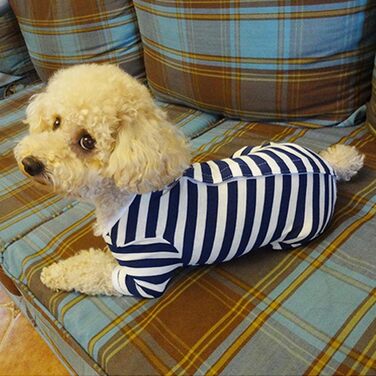 Захисний боді для собак після операції, боді для собак після кастрації/стерилізації, захисний одяг для собак з відкритими лапами, з отвором для рани, з нейлоновою застібкою, для собак з алергією, лисістю, післяопераційний одяг, блакитно-білий в смужку (S)