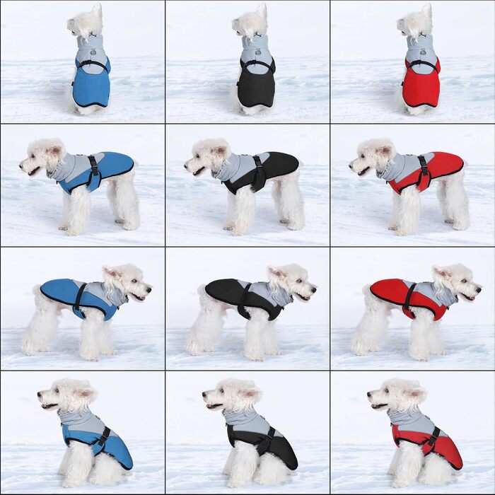 Зимова куртка для собак Savot Warmer Hundemante: водонепроникна, з регульованим капюшоном та флісовою жилеткою, з кільцем D, для собак середніх та великих порід (M, Синій)