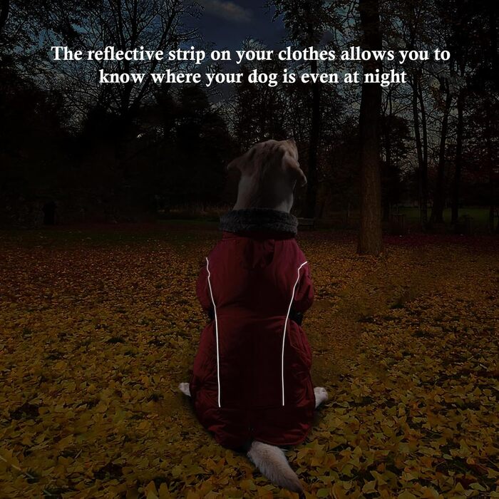 Водонепроникний теплий піджак для собак середнього розміру DENTRUN, теплий зимовий піджак для собак з флісовою підкладкою, червоний