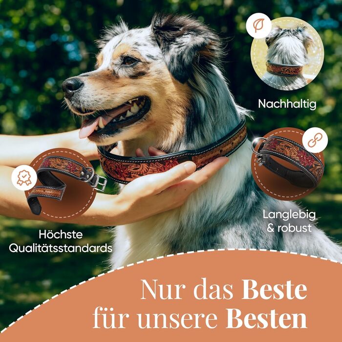 Нашийник для собак MICHUR Flora: шкіряний, з червоним квітковим візерунком, чорний/червоний/коричневий, розміри 51-58,5 см