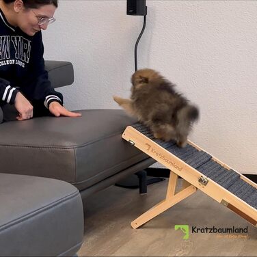 Рампа для собак та котів Kratzbaumland, складна та регульована по висоті, сіра, 80 см