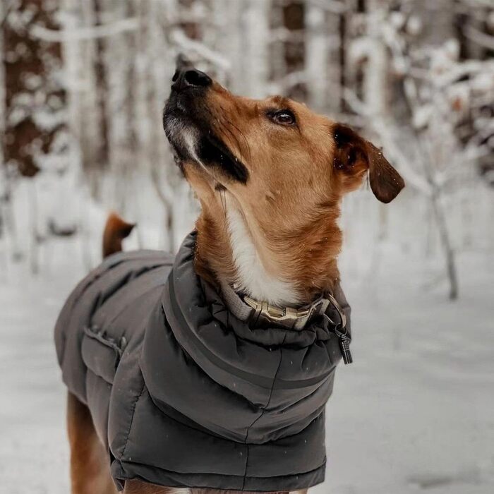 Зимовий теплий одяг для собак - водонепроникна куртка для собак, теплий одяг для тварин, сірий колір