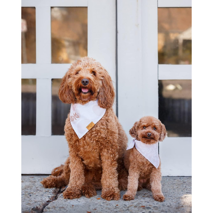 Набір бандани для собак Remy+Roo, 4 шт, екстра великі, регульовані, поліестер, запатентована форма, квітковий дизайн