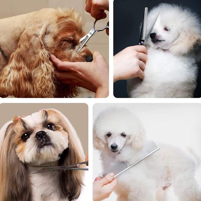 Професійний набір ножиць для грумінгу собак з нержавіючої сталі, 7.0 дюймів. Набір для догляду за тваринами: прямі, вигнуті ножиці, витончувач, гребінець для довгого та короткого волосся собак/кішок/домашніх тварин
