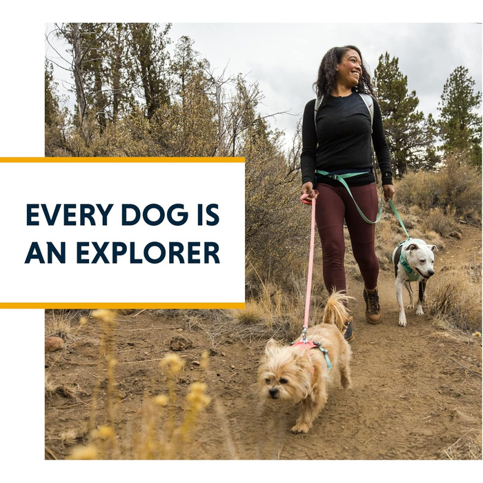 Повідок для собак Ruffwear Flagline 2-в-1, легкий і міцний, для бігу, на руку чи талію, із сумкою для зберігання та Crux-Clip, зелений, універсальний розмір