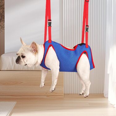 Гамак для грумінгу котів та собак, інструмент для стрижки кігтів, гамак для маленьких, середніх та великих собак Qianly