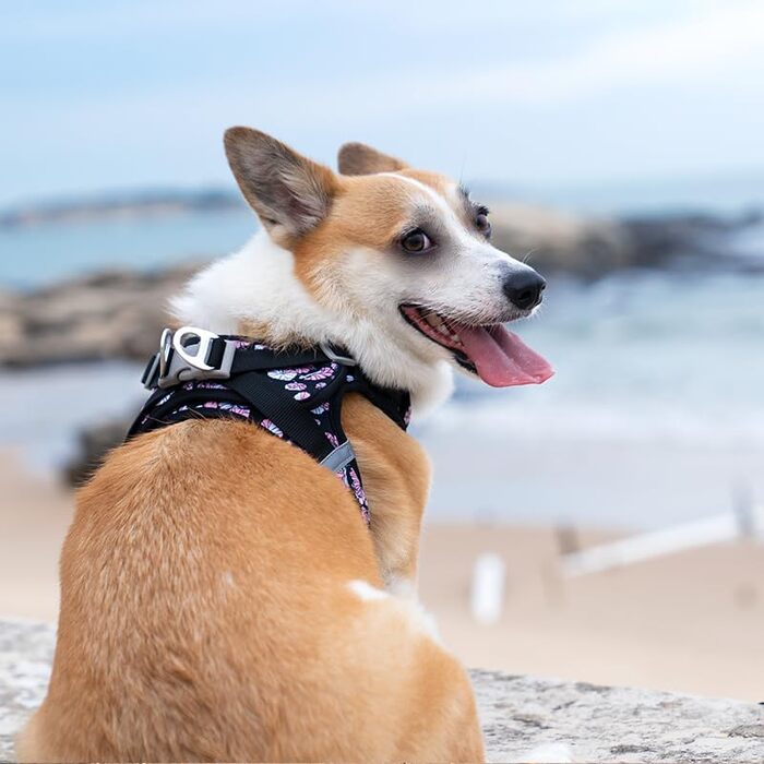Нашийник для собак Truelove TLH30131 XS, квітковий принт, чорний, м'який, дихаючий, світловідбиваючий