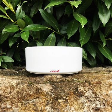 Керамічна годівниця для собак Cadouri - 1.300 мл