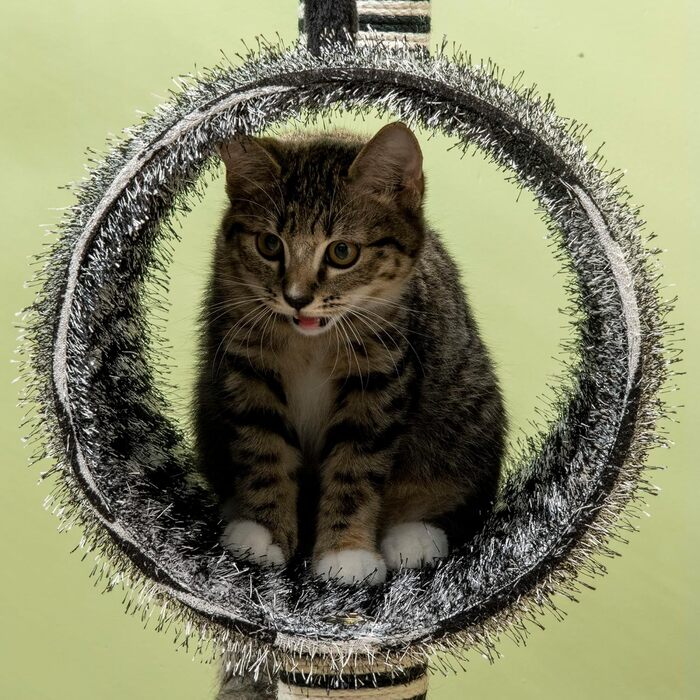 Котячий дряпак PawHut 93 см, зебровий дизайн, ігровий комплекс із тунелем та джутовими стовпчиками, меблі для котів, чорно-білий