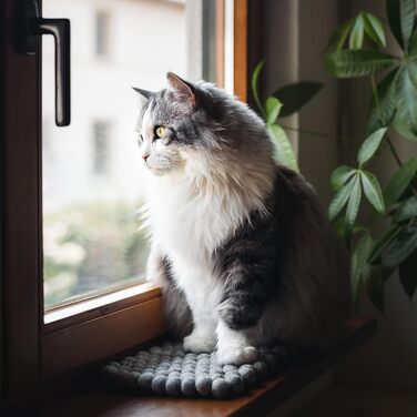 Підстилка на підвіконня для котів CATLABS з вовни (65x20 см) - 100% натуральна шерсть/фетр, без поліестеру. М'яка підстилка-лежанка для кота, тепла ковдра з вовни, місце для відпочинку на підвіконні.