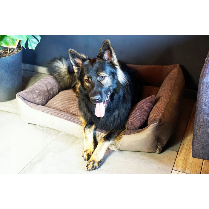 Затишне текстильне лежак для собак TEO, 100x80 см, розмір 4L