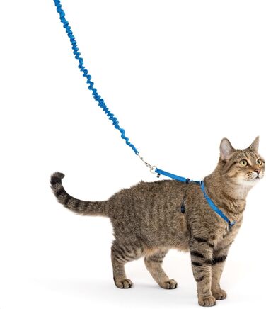Шлейка для котів PetSafe Come with Me Kitty з еластичним повідцем, розмір S, синя