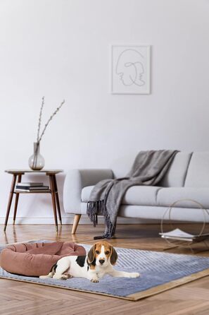 Килимок для собак Luxus Denver | гігієнічний, миється | Розмір M (для маленьких та середніх собак) | Кукурудзяна печеринка з пакетиками для збору відходів (оксамит, ) | Діаметр 68 см (Ø 68 см, Рожевий)