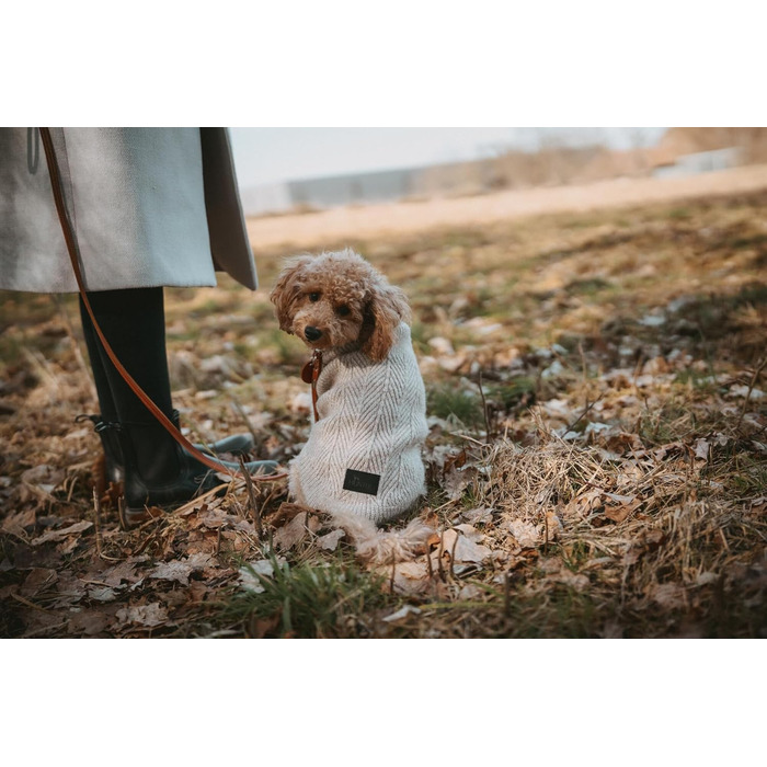 Пуловер для собак Hunter GENF, бежевий, з перекидним коміром, з еластичного переробленого поліестеру