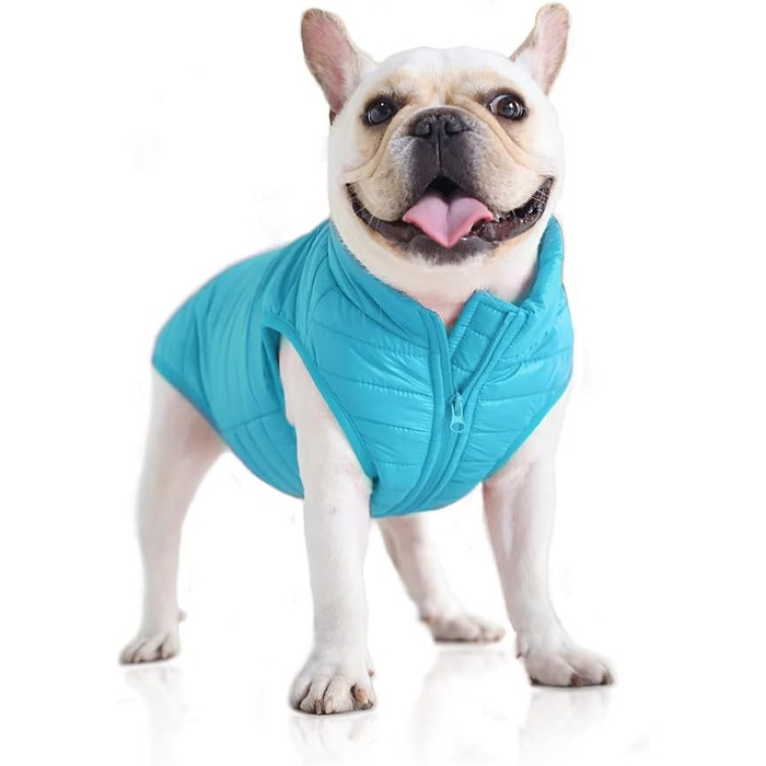 Зимовий одяг для собак: тепла куртка-жилетка з водонепроникним покриттям для маленьких та середніх собак (XS, синій)