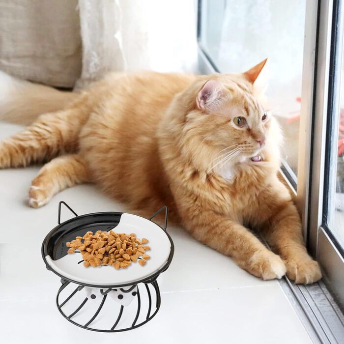 Керамічна миска для котів з металевим підставкою, піднята миска для котів Anti-Erbrechen, плоска керамічна миска для корму та води для котів та маленьких собак (Чорний)