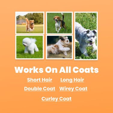 Грумінг-щітка Mr. Waggy Tails Groomify для собак та котів - м'яка, безпечна, чорна