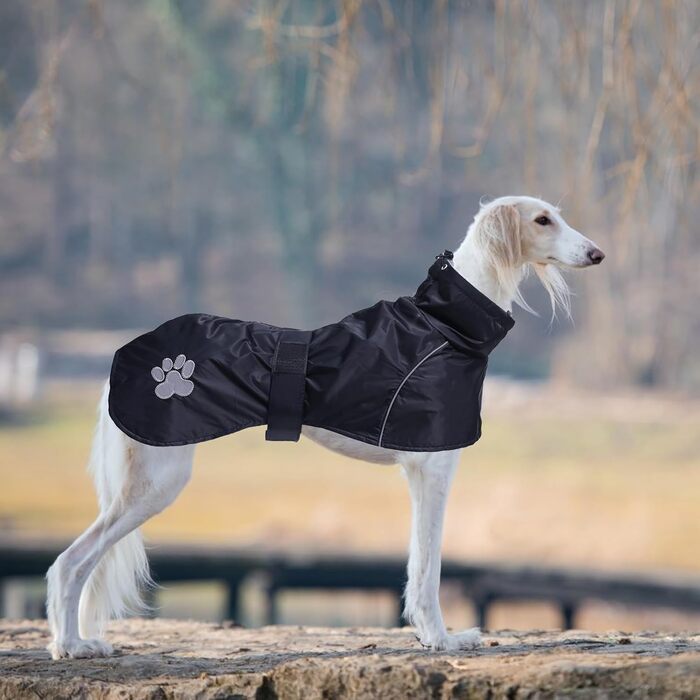 Водонепроникний дощовик для віндгорсу (гленкора) від Geyecete, теплий, з підкладкою з плюшу, чорний, L (довжина спини: 61-64 см)