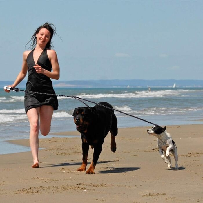 EXPAWLORER Подвійна висувна поводок для собак - з подвійним кріпленням, блокуванням, до 72.6 кг загальної ваги, 36.3 кг