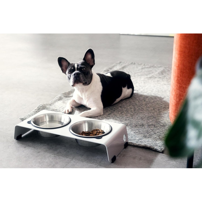Підвищена годівниця для собак Jaska ARC з нержавіючої сталі та сталі (білий, S)