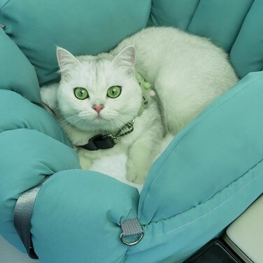 Автокрісло для тварин: складана переноска для собак та котів з м'якою стороною | Закрита переноска-будка для собак та котів