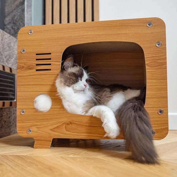 Petsona Кігтеточка для котів з натурального картону - ігровий майданчик, килимок, іграшка для самостійних розваг, 45x38x24,5 см