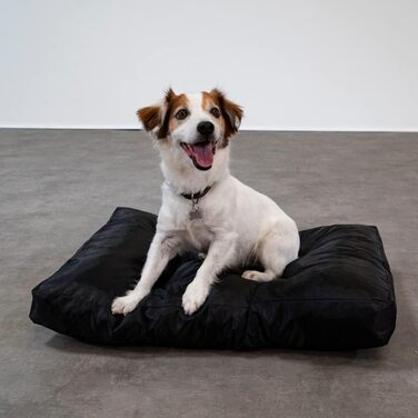 Килимок для собак Bananair - м'який та зручний, водовідштовхуючий, легко чистити. XXL лежанка для собак, кошик для собак, лежанка для собак різних розмірів/кольорів (75 x 50 x 10 см, чорний)