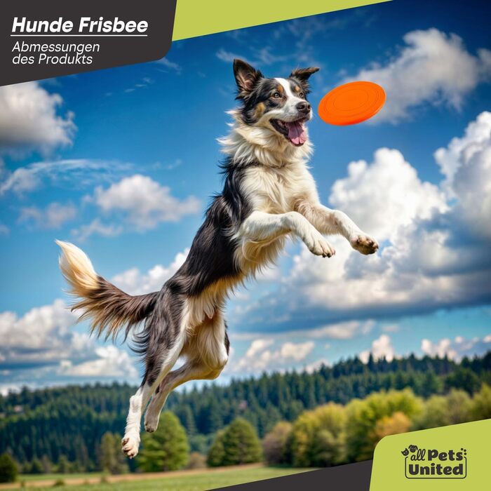 Набір для аджиліті для собак: тунель, аксесуари, конуси, фрісбі, кидки та переносна сумка (200 см)