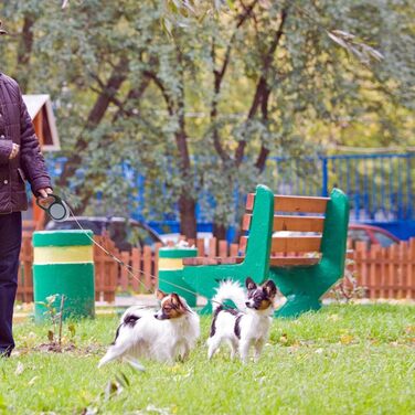 KOOLTAIL Подвійний висувний повідець для собак 5 м, міцний, для двох собак до 50 кг, для малих і середніх порід, для прогулянок