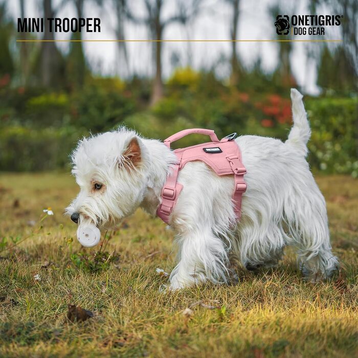 Шлейка для собак OneTigris MINI Trooper, рожева, XS, з повідком 150 см, з ручкою для контролю та 2 позиціями для буксирування
