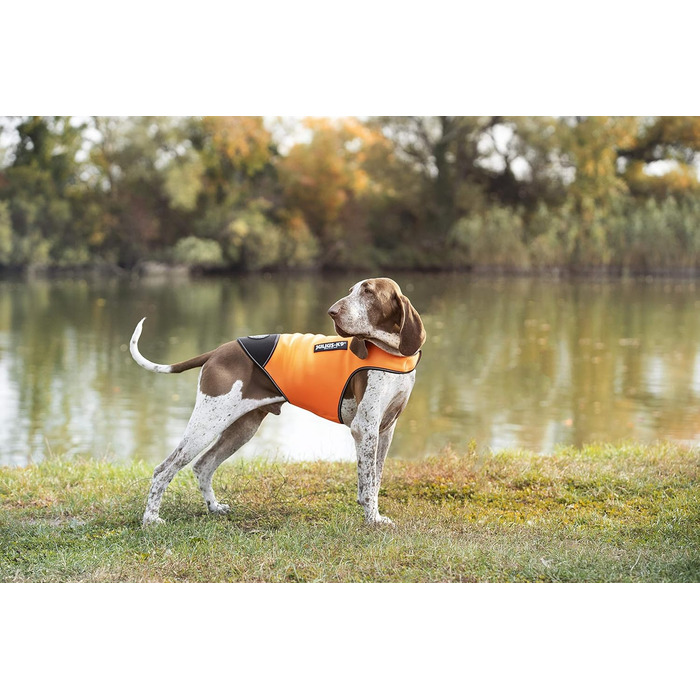 Одяг для собак Julius-K9 IDC Neopren, S, оранжево-чорний