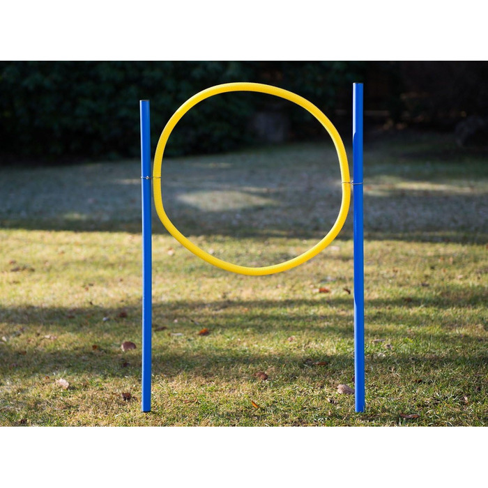 Набір для аджиліті для собак: слаломні стійки, бар'єри та кільце. Тренування собаки вдома, собачий спорт