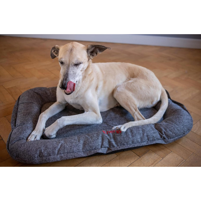 iEnergy GIS: Лежанка для собак на відкритому повітрі, зручна для відпочинку, ідеальна для саду, кемпінгу, подорожей та прогулянок